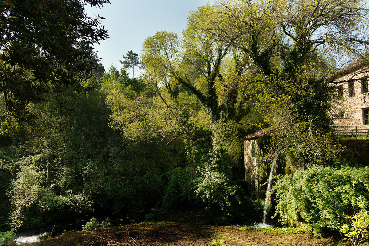 Canales A Quinta da Auga