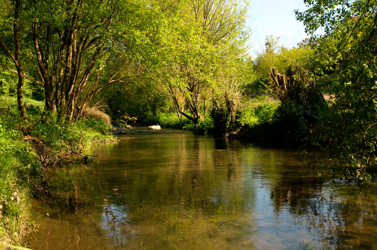 Río Sar a su paso por A Quinta da Auga