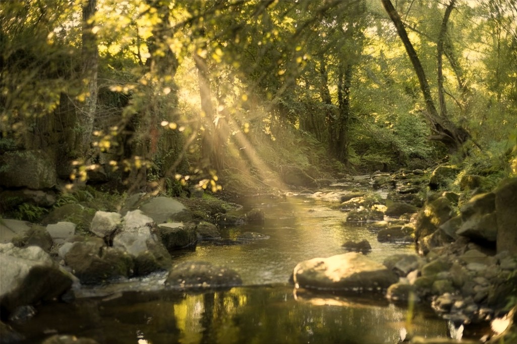 El rio Sar rodeando a spa a quinta da auga.